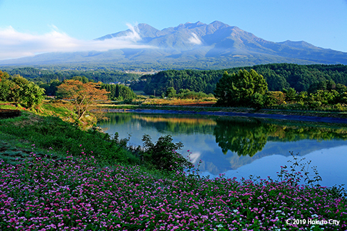 1【グランプリ】初秋の八ヶ岳山麓.jpg