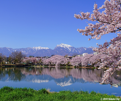 2【春】里山の春.jpg