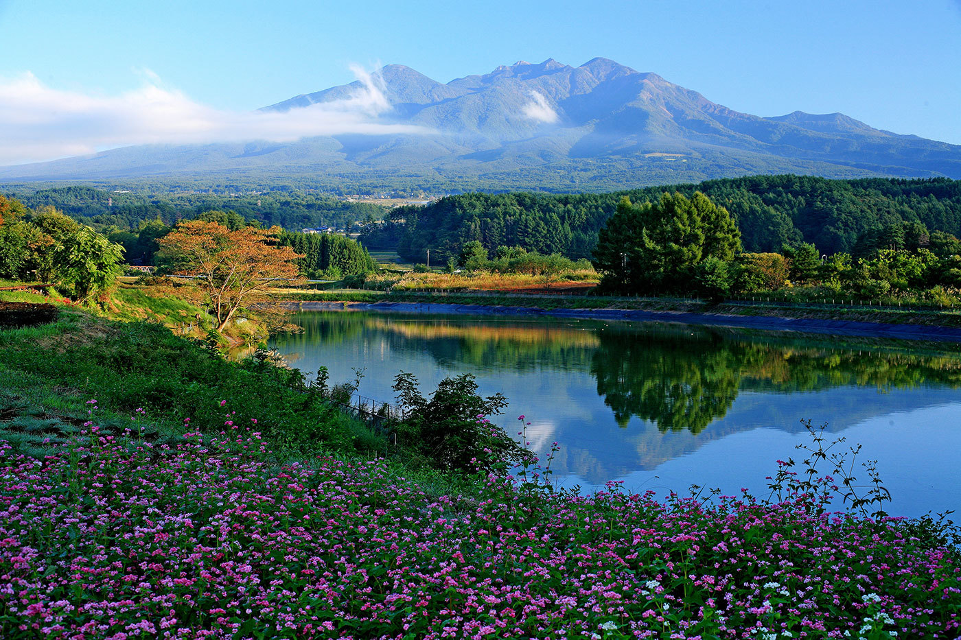 山梨県北杜市公式サイト