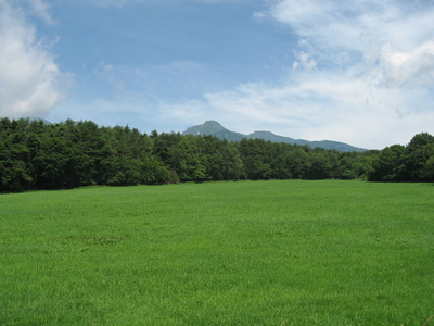 牧草地越しの八ヶ岳が見えている写真