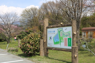 公園の様子