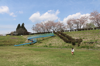 公園の様子