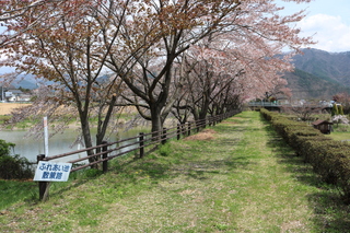 公園の様子