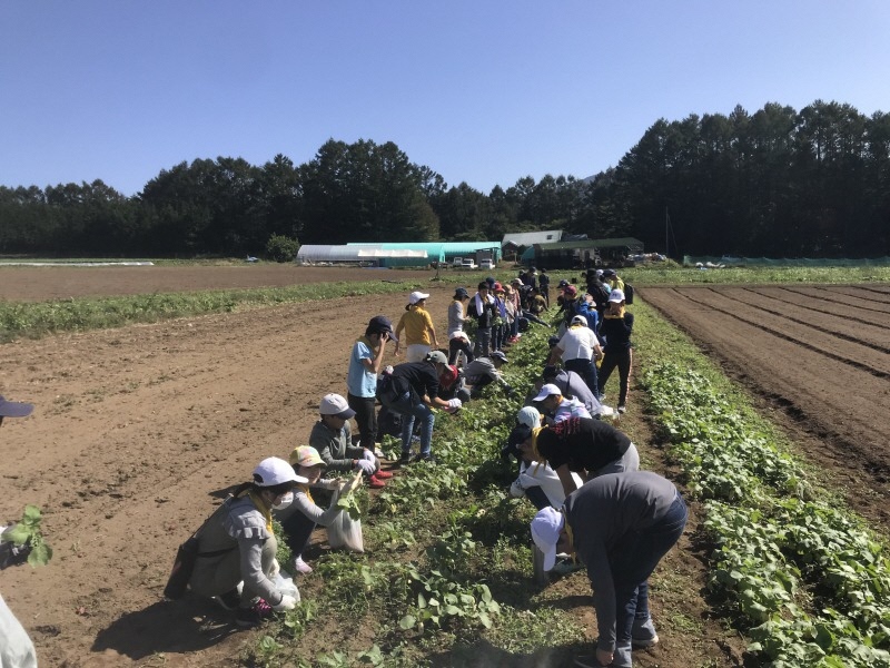 株式会社ファーマン 井上農場