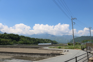 たんぽぽ周辺の風景