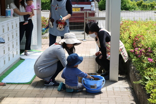 種まきの様子