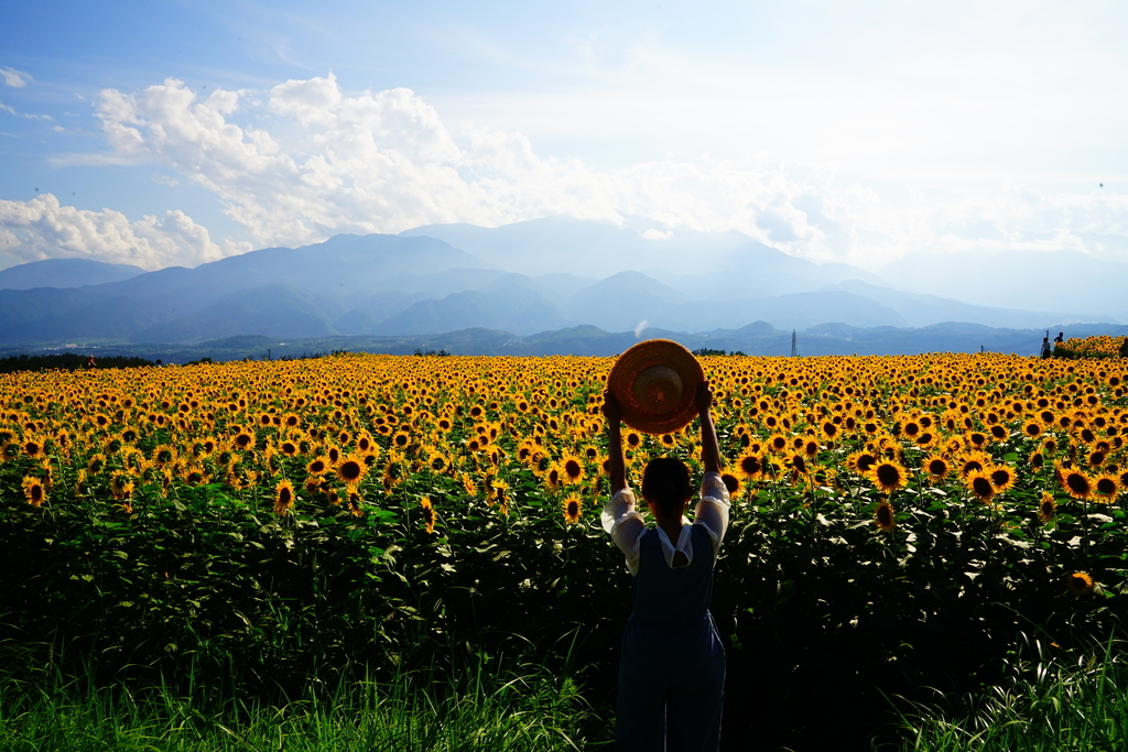 「18の夏」