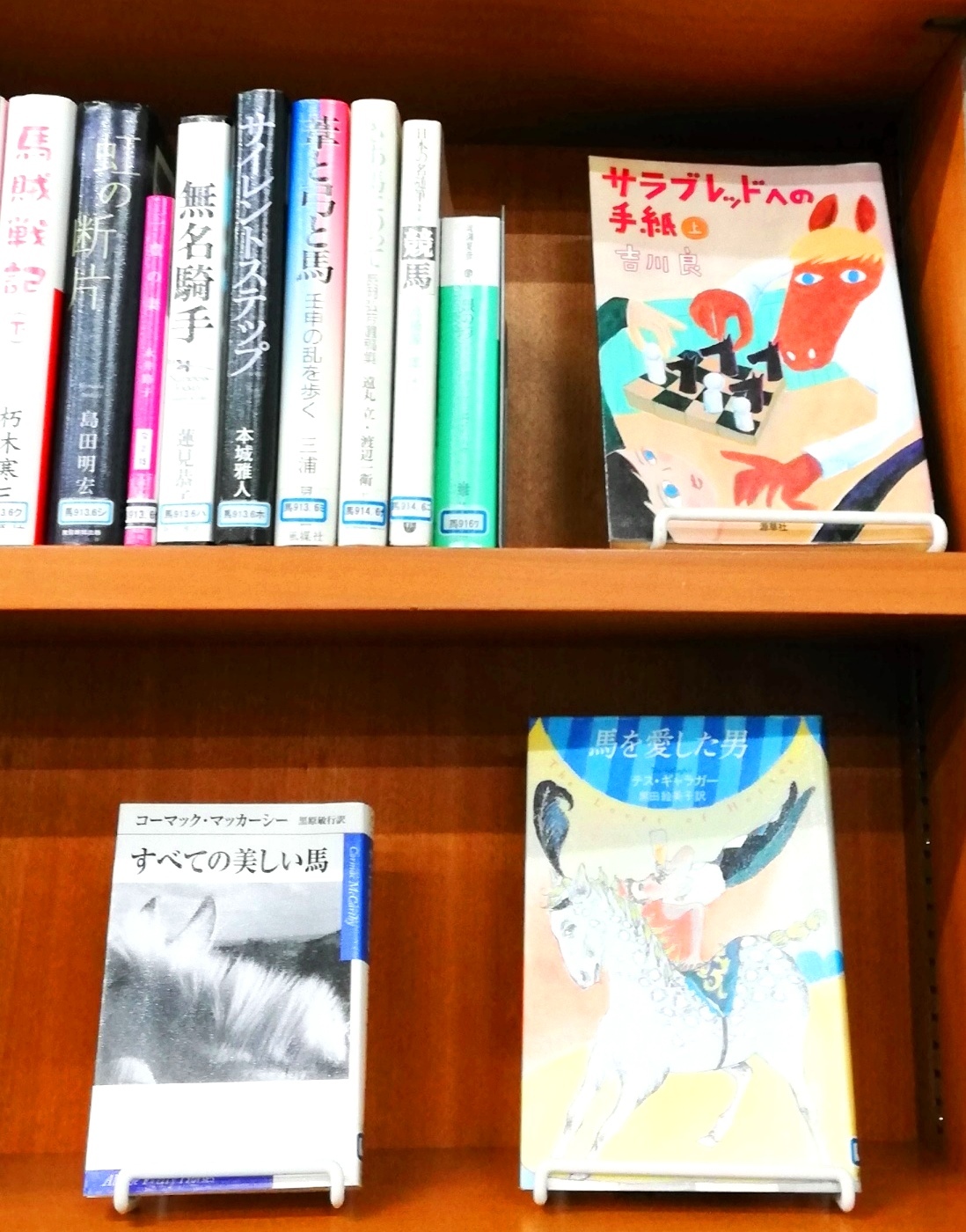 小淵沢図書館の馬に関するおすすめの本