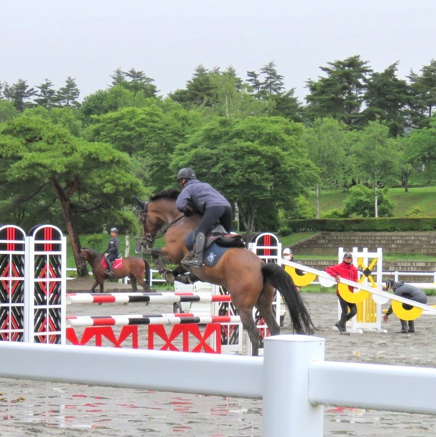 障害を跳ぶ馬