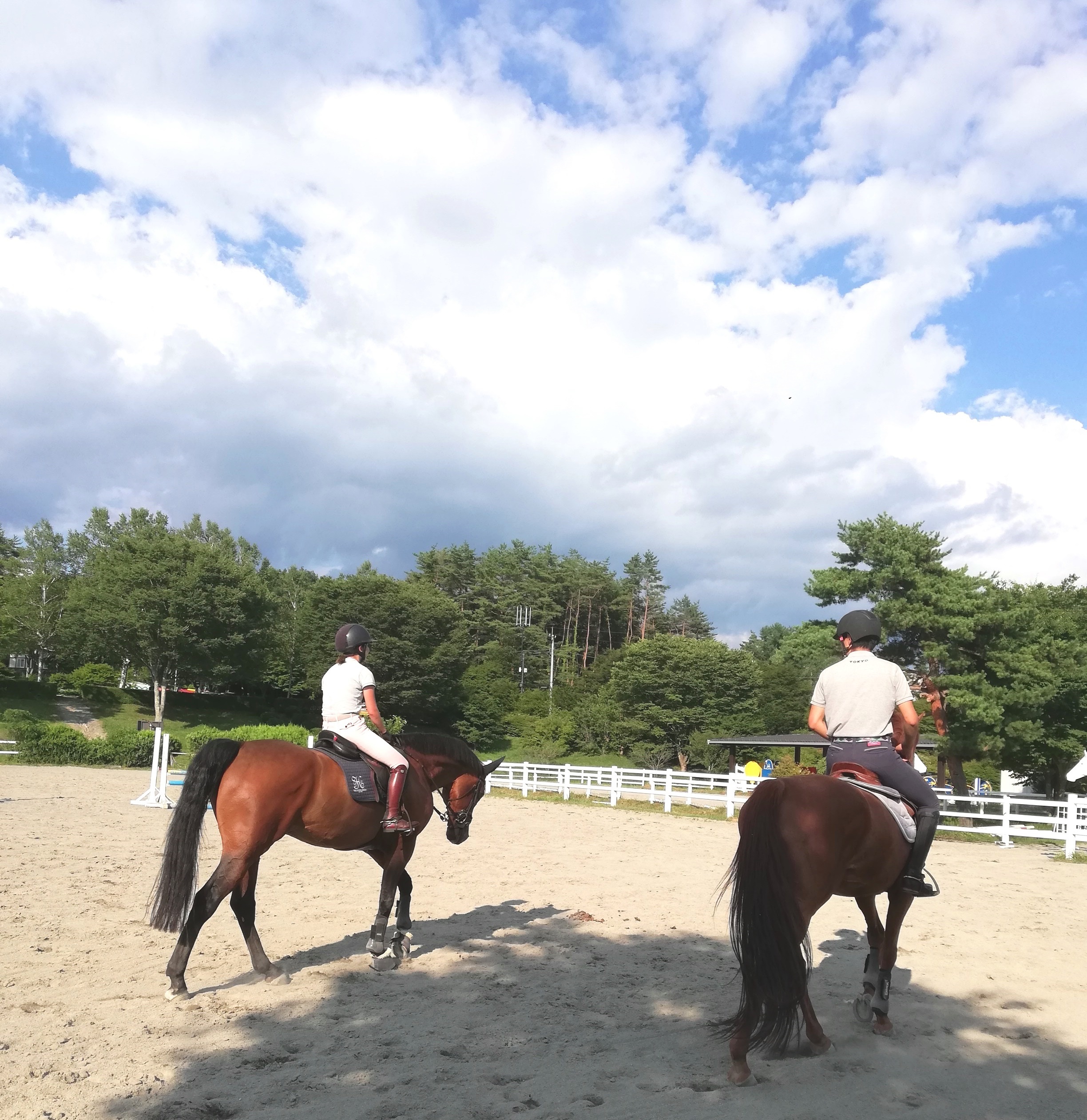 ジャンピング練習の後、馬をゆっくり歩かせクールダウンさせている様子