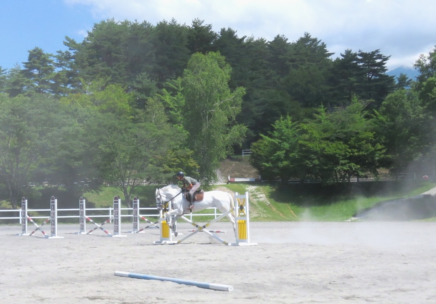 土煙が舞う中レッスンをする芦毛の馬