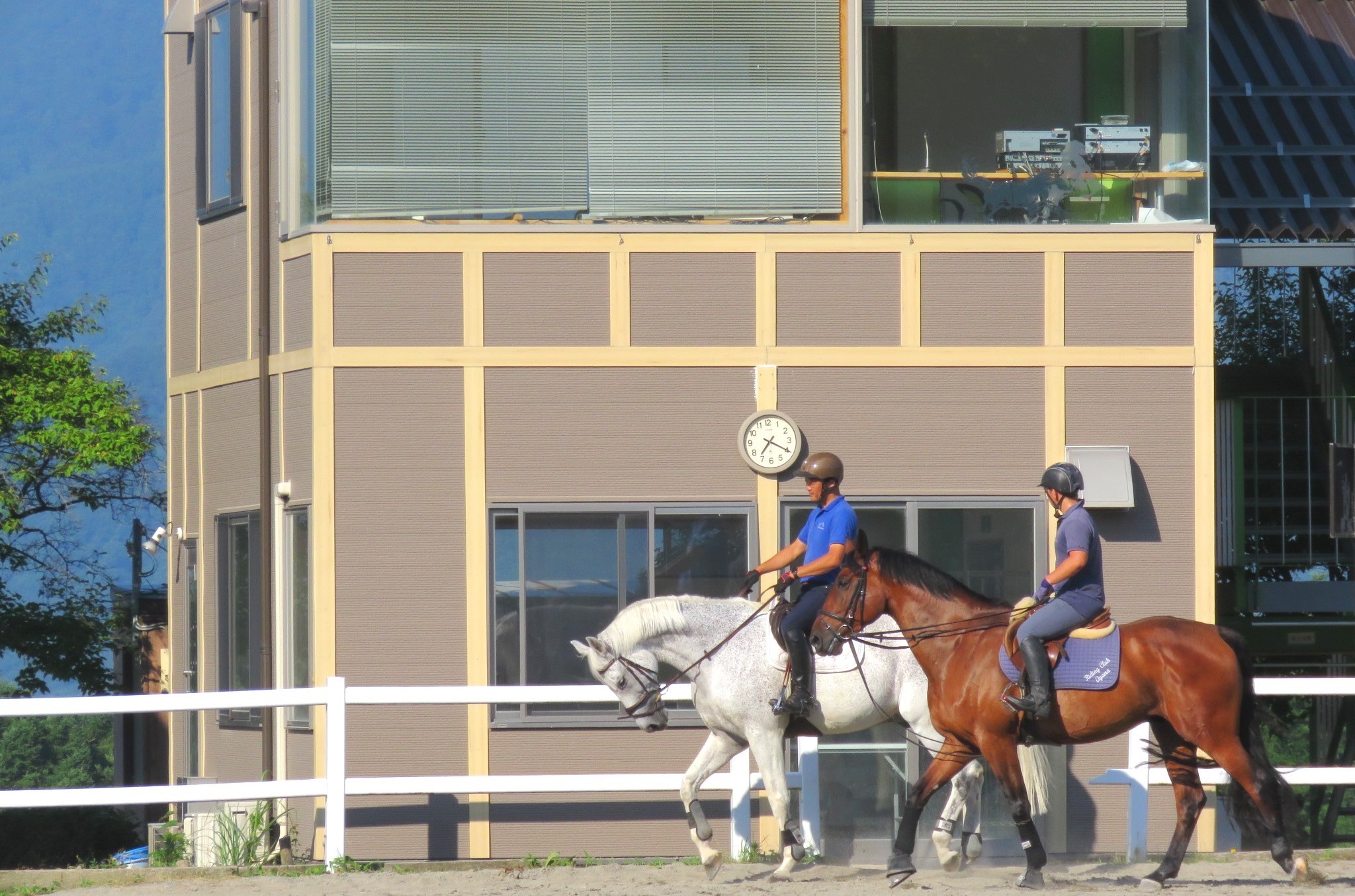 早朝の馬場で、ベテランと若手、馬に乗ってのんびり歩きながら会話する様子