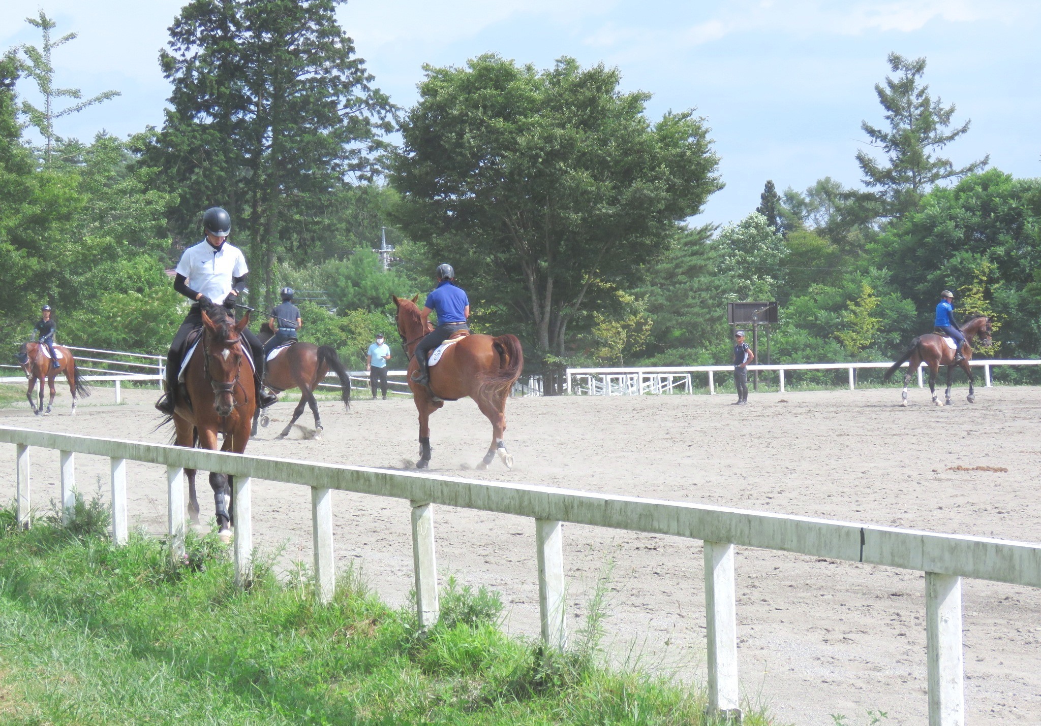 Caunty CAVALLO 馬場鞍 乗馬用品 馬術 | www.unimac.az