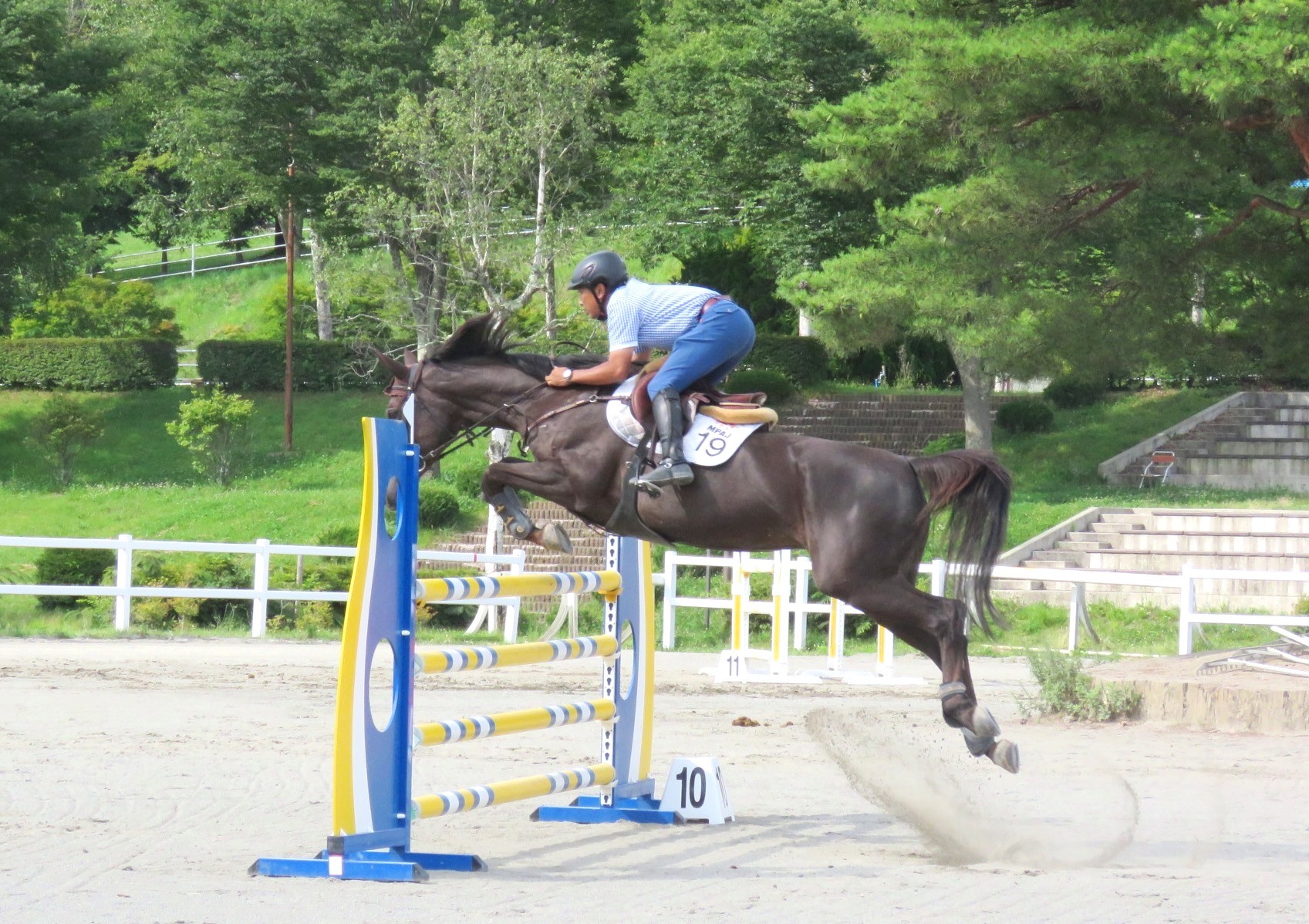 テスト走行本番も落ち着いて障害を飛び越える黒鹿毛の馬