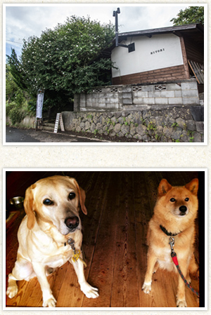 浅川ご夫妻のペットと家の写真