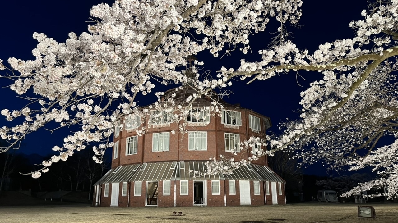 夜桜と清春芸術村の建物全体