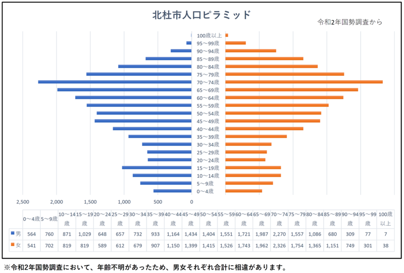 人口ピラミッド.png