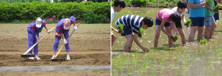 農園体験教室の写真