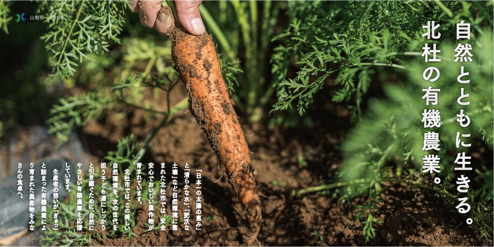 有機農業大全: 持続可能な農の技術と思想 | 澤登 早苗, 小松﨑