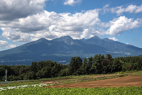 山・森林