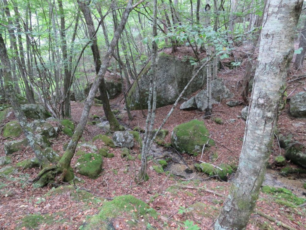 みずがき山自然公園-08