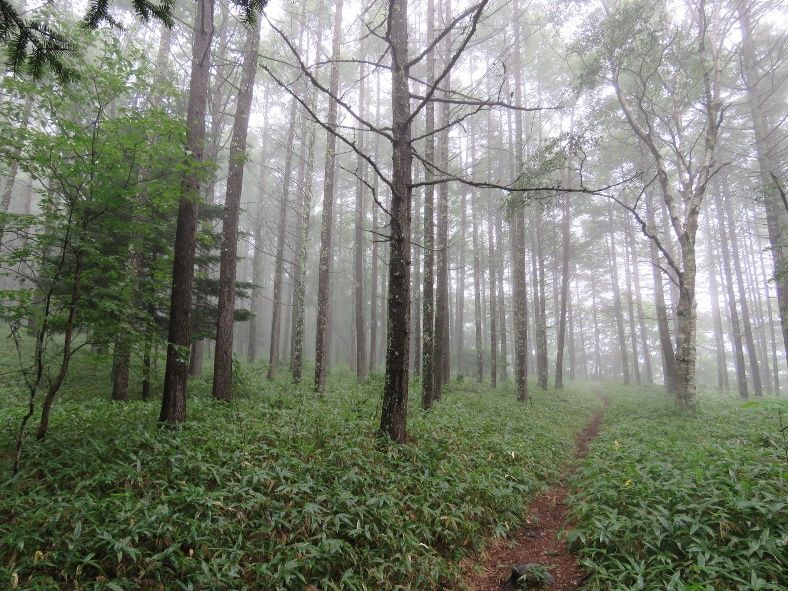 観音平登山口付近