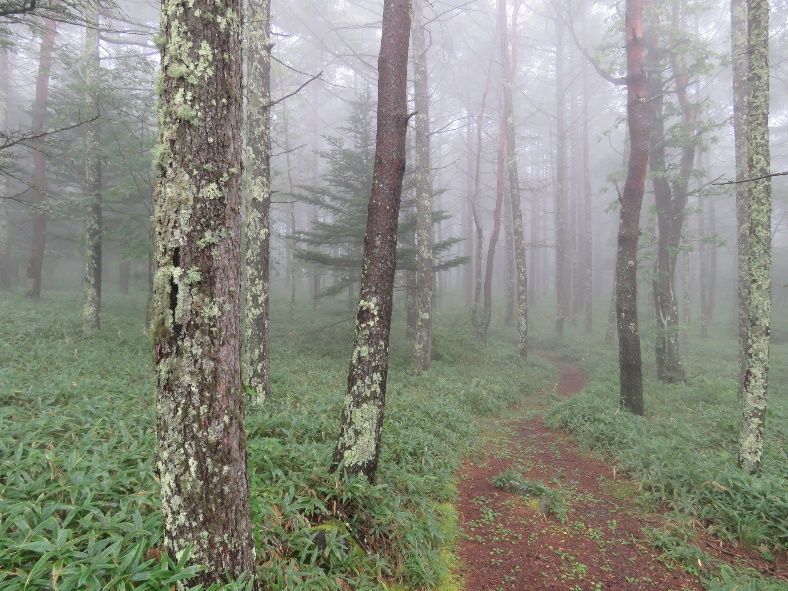 観音平登山口付近-02