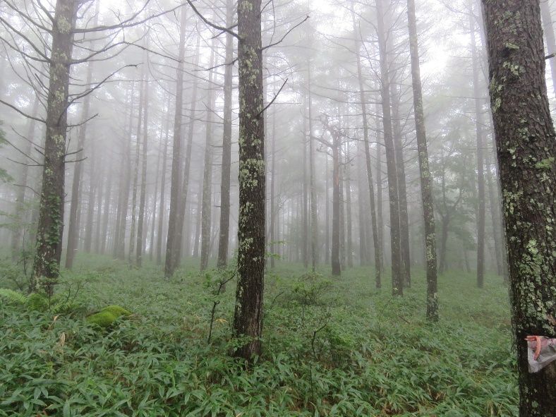 観音平登山口付近-03