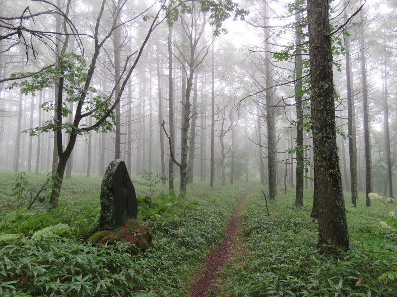 観音平登山口付近-04