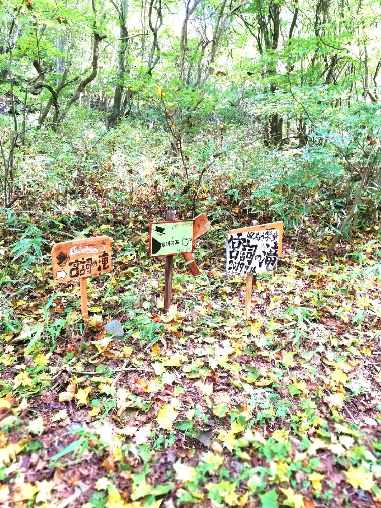 宮司の滝-03