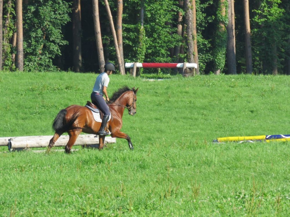 山梨県馬術競技場