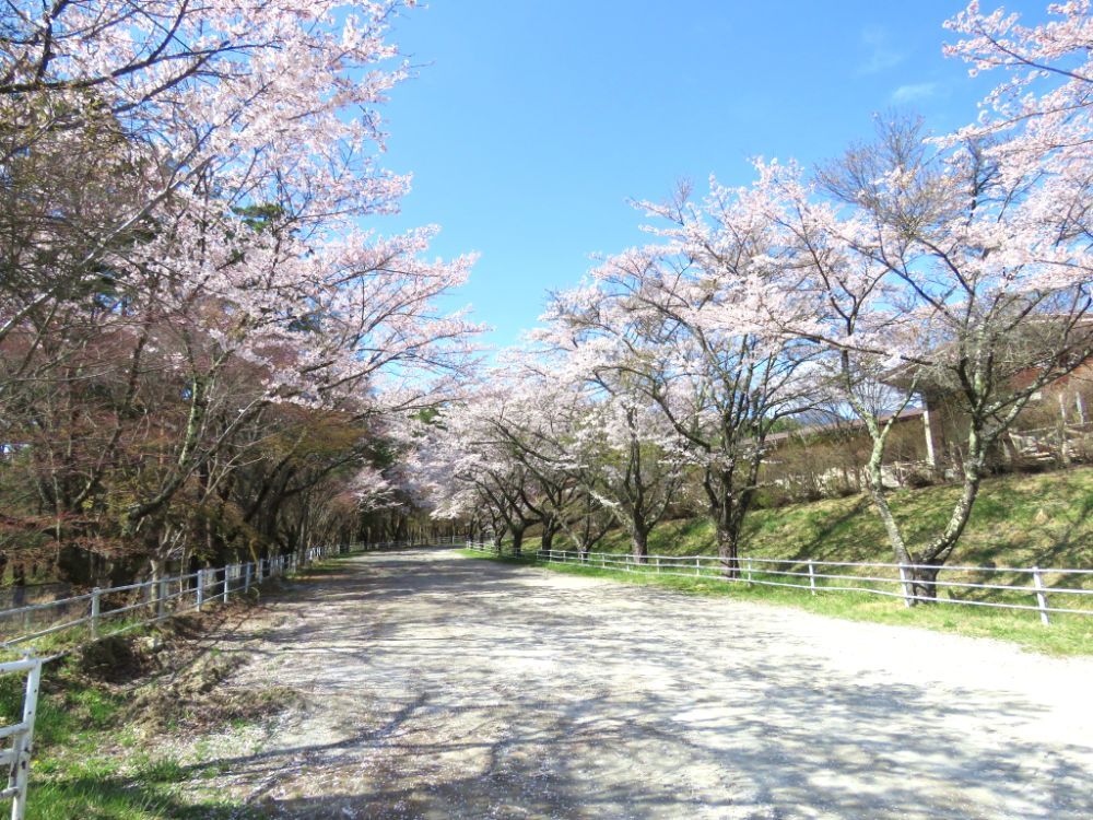 山梨県馬術競技場-02