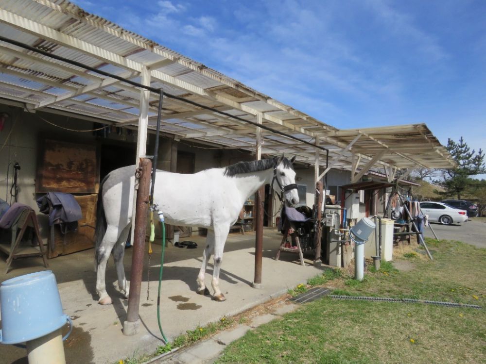 山梨県馬術競技場-10