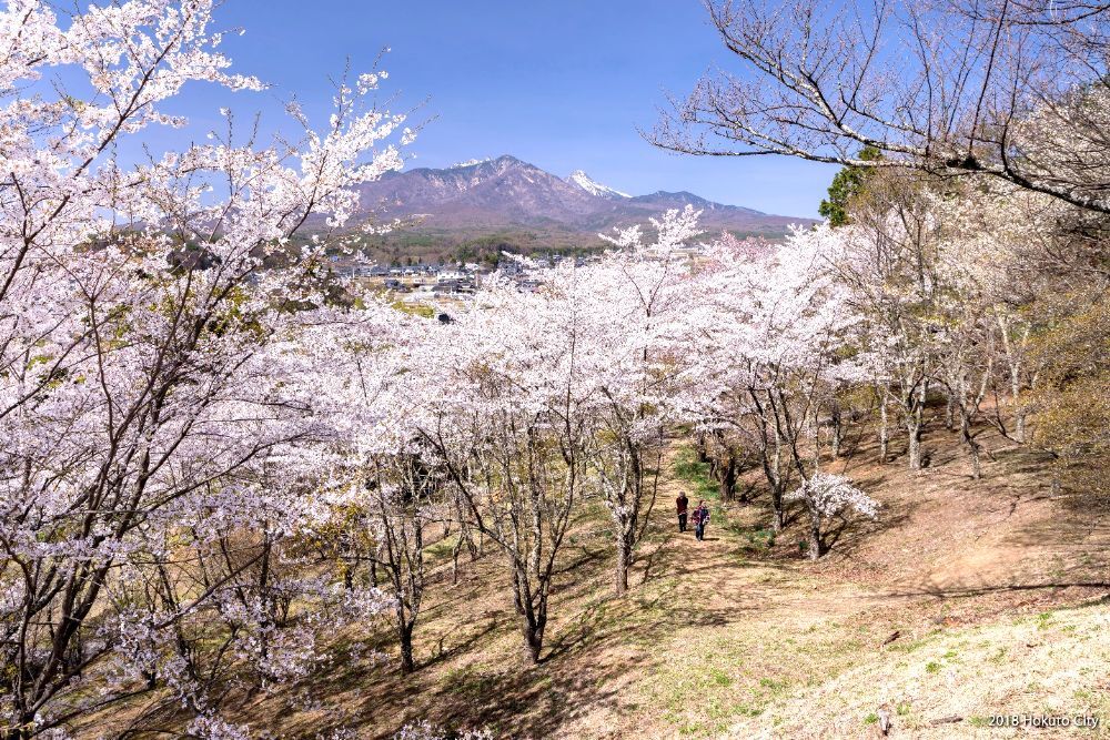 谷戸城跡