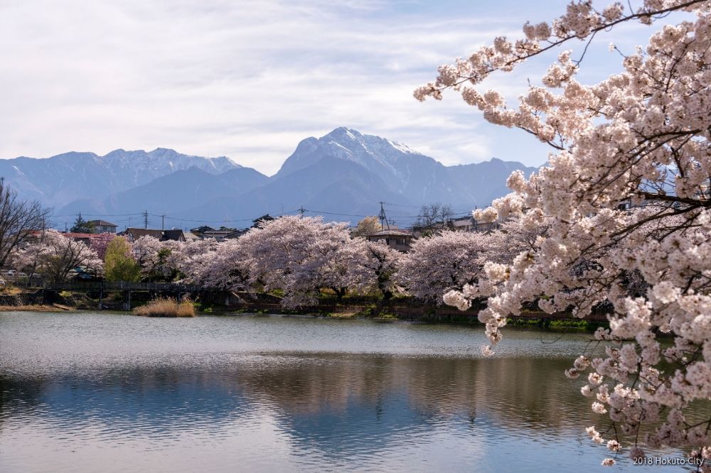 長坂牛池(長坂湖)