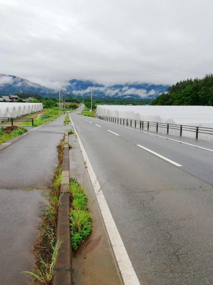 八ヶ岳広域農道・レインボーライン-06