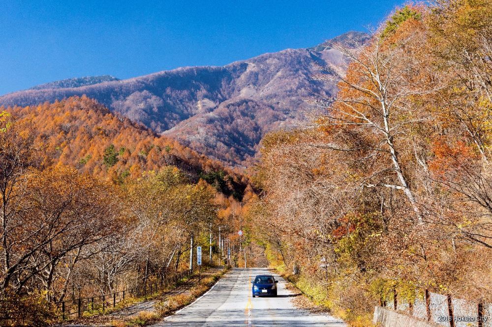 八ヶ岳高原ライン