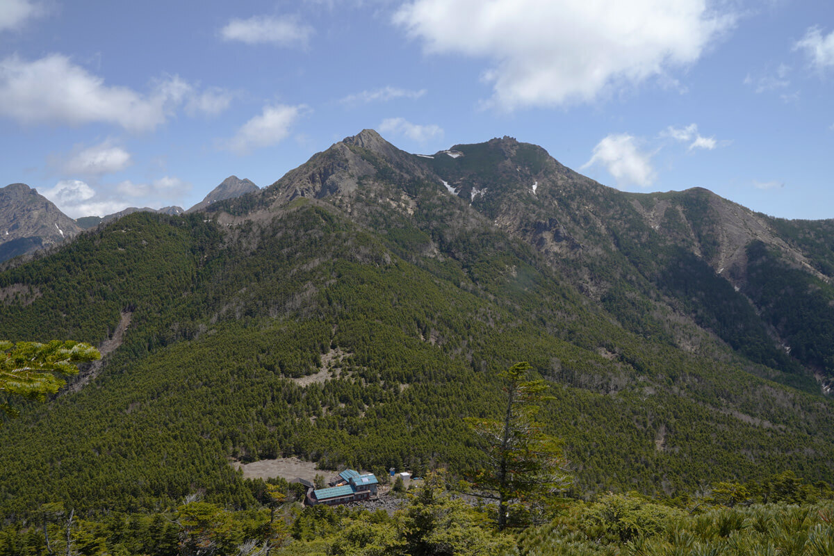 権現岳-02