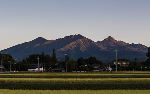 八ヶ岳エリア