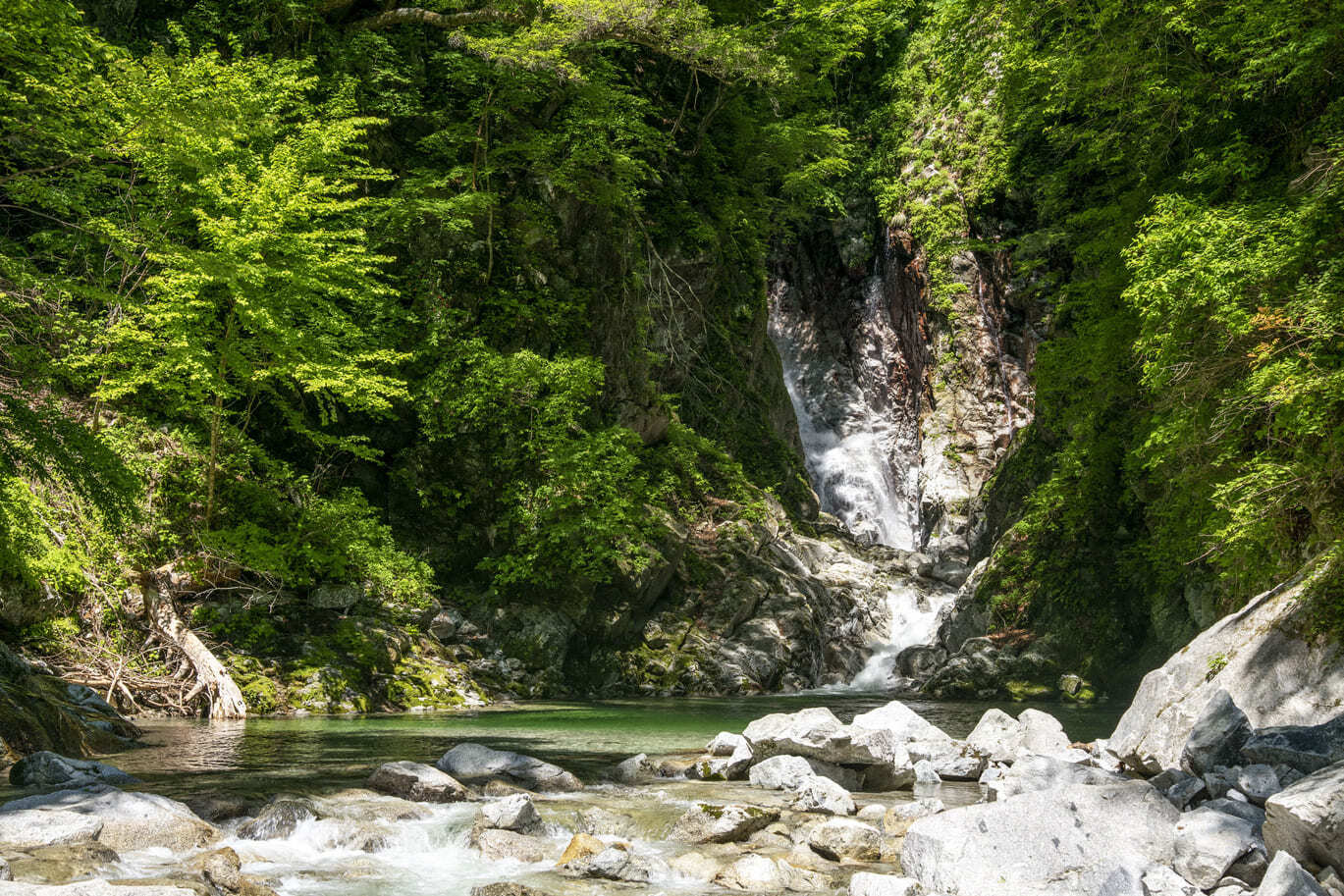 エメラルドグリーンの水が美しい、南アルプス・甲斐駒ヶ岳の清流