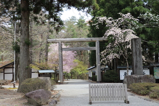 身曽岐神社_22493_marked.jpg