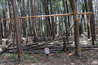 木の音を楽しむ遊具_18259_marked.jpg