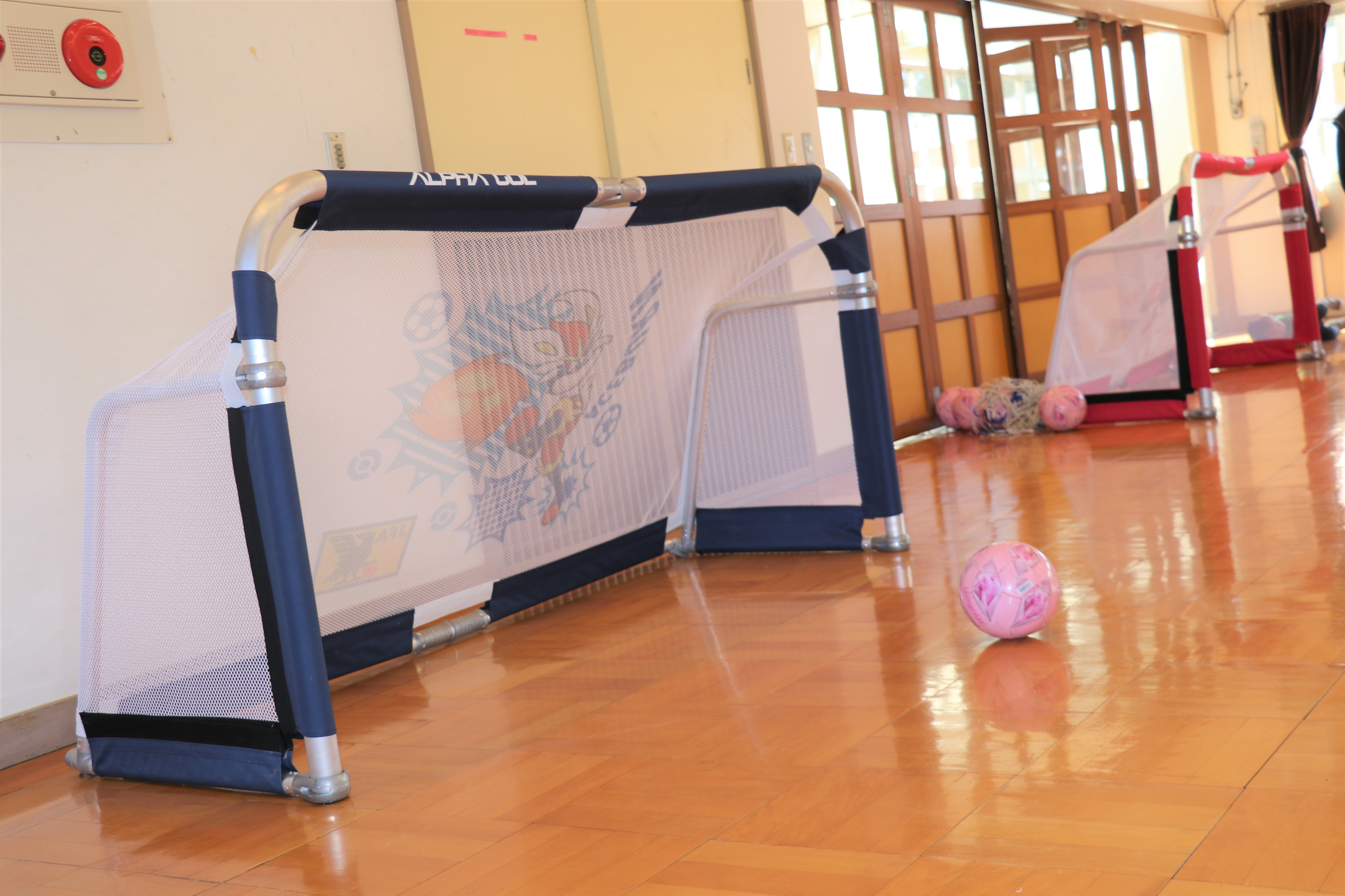 1サッカーゴールとボール2_5083_marked.jpg