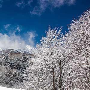 雪景色