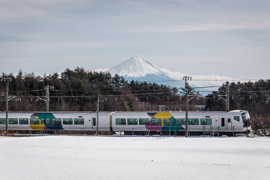 神田の大糸桜から望む富士山