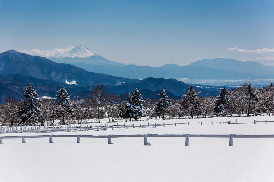 清泉寮から望む富士山の写真