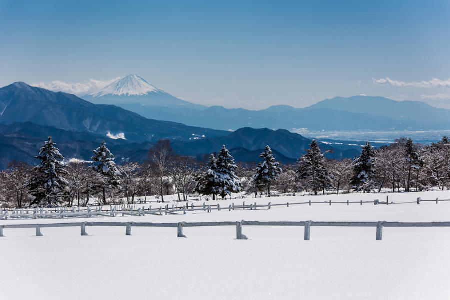 清泉寮から望む富士山