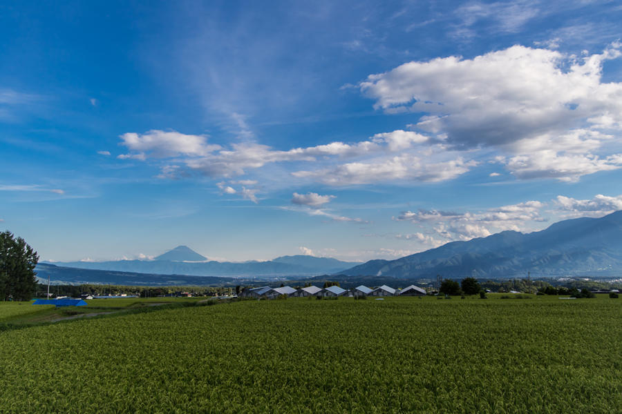 レインボーラインから望む富士山の写真