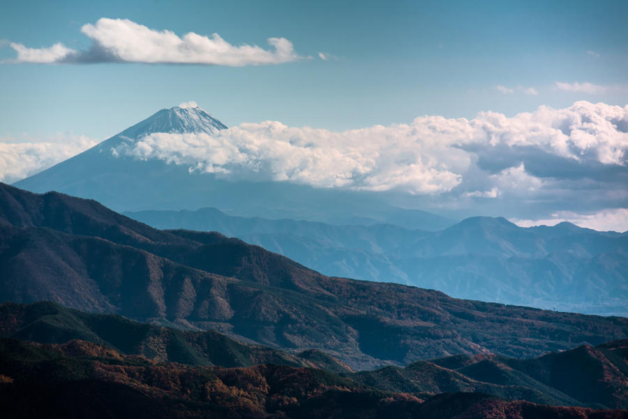 美し森から望む富士山の写真