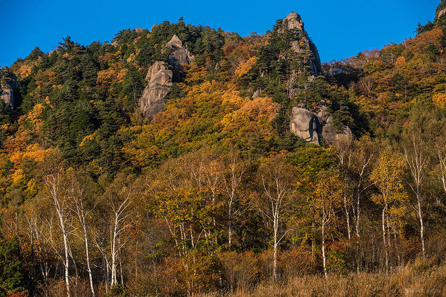 03.みずがき山自然公園からの瑞牆山 17の写真